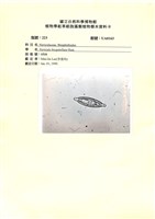 館號:UA0163藏品圖，第1張