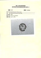 登錄號:UA0164藏品圖，第1張