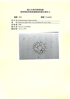 登錄號:UA0165藏品圖，第1張