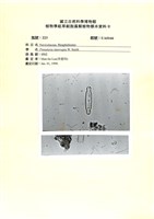 登錄號:UA0166藏品圖，第1張