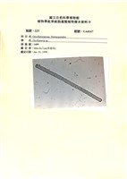 登錄號:UA0167藏品圖，第1張