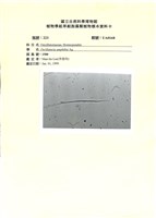 登錄號:UA0168藏品圖，第1張