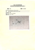 登錄號:UA0169藏品圖，第1張