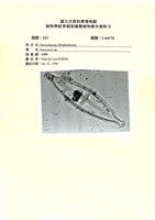 登錄號:UA0170藏品圖，第1張
