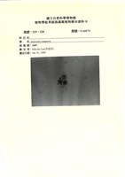 登錄號:UA0171藏品圖，第1張