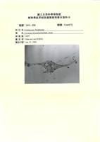 登錄號:UA0172藏品圖，第1張