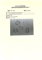 登錄號:UA0173藏品圖，第1張