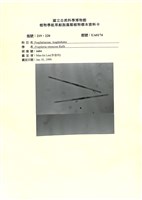 登錄號:UA0174藏品圖，第1張