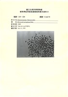 登錄號:UA0175藏品圖，第1張