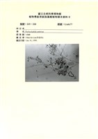 登錄號:UA0177藏品圖，第1張