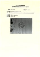 登錄號:UA0178藏品圖，第1張