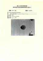 登錄號:UA0179藏品圖，第1張