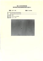 登錄號:UA0180藏品圖，第1張
