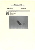登錄號:UA0181藏品圖，第1張