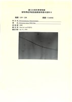 登錄號:UA0182藏品圖，第1張