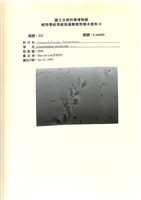 登錄號:UA0183藏品圖，第1張