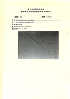 登錄號:UA0184藏品圖，第1張
