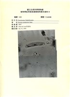 登錄號:UA0188藏品圖，第1張