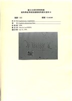 登錄號:UA0189藏品圖，第1張