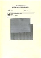 登錄號:UA0191藏品圖，第1張