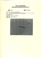 登錄號:UA0192藏品圖，第1張