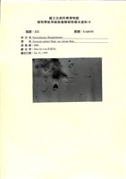 登錄號:UA0193藏品圖，第1張
