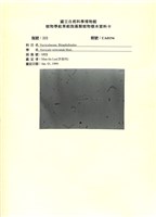 登錄號:UA0194藏品圖，第1張