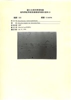 登錄號:UA0196藏品圖，第1張