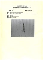 登錄號:UA0198藏品圖，第1張