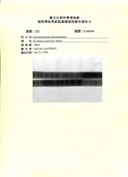 登錄號:UA0199藏品圖，第1張