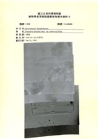 登錄號:UA0200藏品圖，第1張