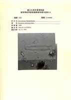 登錄號:UA0201藏品圖，第1張