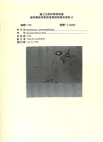 登錄號:UA0202藏品圖，第1張