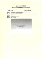 登錄號:UA0205藏品圖，第1張