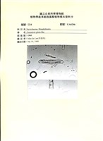 登錄號:UA0206藏品圖，第1張