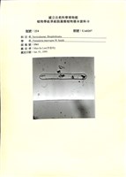 登錄號:UA0207藏品圖，第1張
