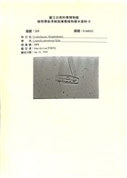 登錄號:UA0212藏品圖，第1張