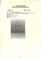 登錄號:UA0228藏品圖，第1張