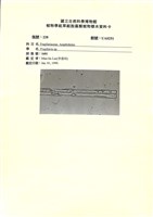 登錄號:UA0251藏品圖，第1張