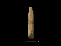 錛鑿形器藏品圖，第2張