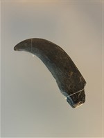 石鐮藏品圖，第1張