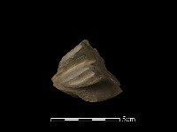 砥石藏品圖，第5張