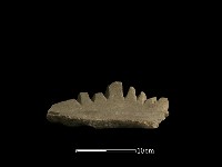 砥石藏品圖，第3張