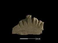 砥石藏品圖，第4張