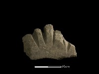 砥石藏品圖，第5張