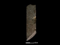 錛鑿形器藏品圖，第2張