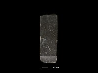 錛鑿形器藏品圖，第1張
