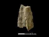 矛鏃形器藏品圖，第1張