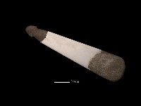 巴圖形器藏品圖，第1張