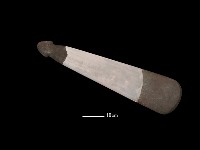 巴圖形器藏品圖，第2張